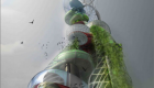 share.bucharest.2020-730x469px3