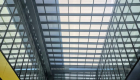IMG-20210608-WA0019