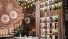 share-architects-com-interior-forum-alexandrin-buraga-01