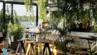 share-architects-com-interior-forum-mihai-popescu-07