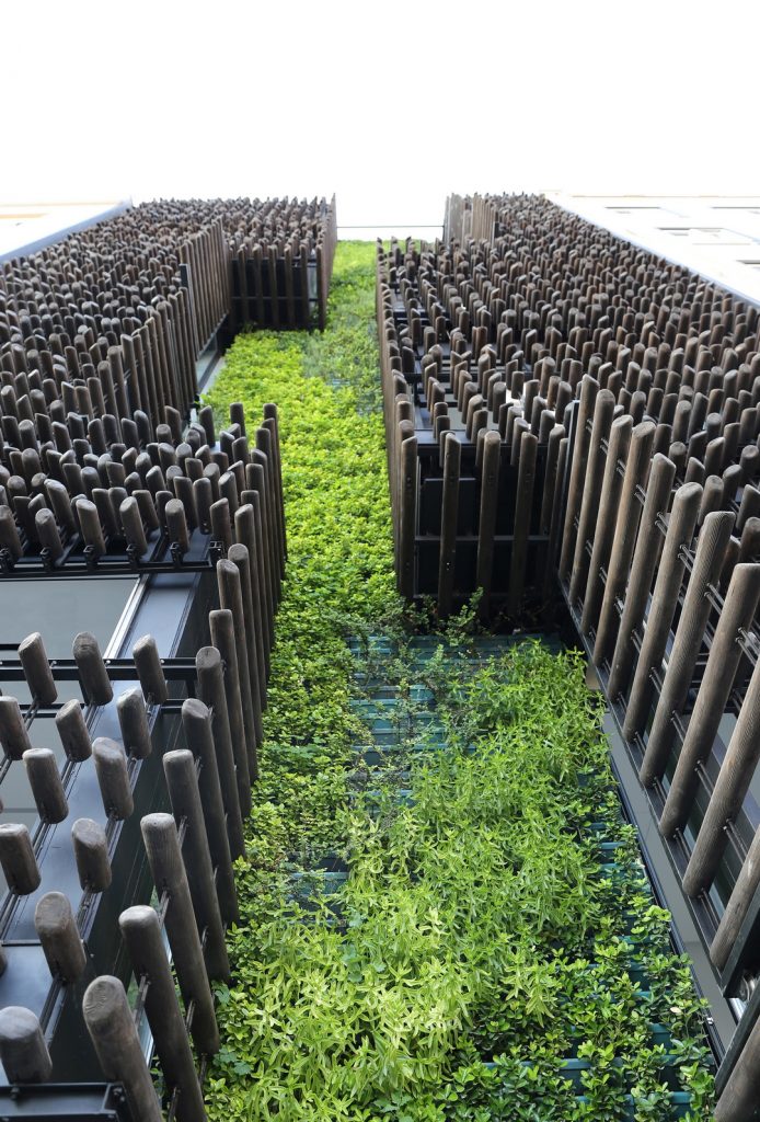 share-architects.com-20240508-04
