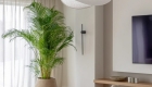 MiSo Architects_Nomad Apartment(12)